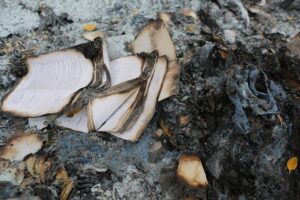 Remains of burned books and other unidentifiable property
