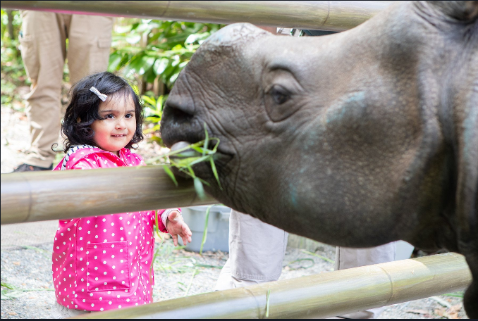 Woodland Park Zoo Kicks-Off Its Annual Fall Fecal Fest - Fremocentrist